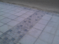 IMAG0173 IMAG0173