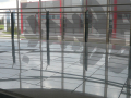 P1000144 P1000144